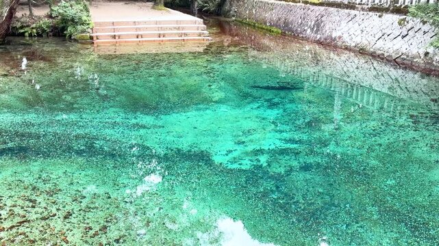 山口県美祢市 日本名水百選の別府弁天池