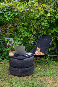 Outdoor Laptop Workspace with Cat on Chair