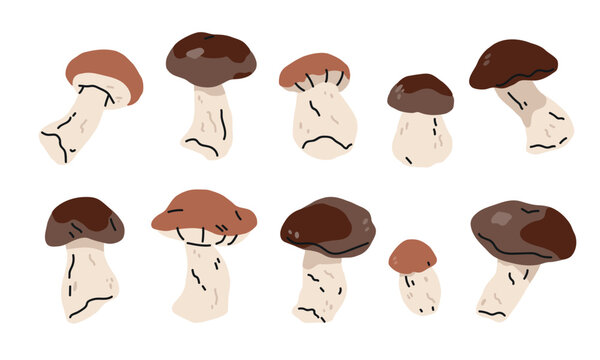 vector Set of stylized mushrooms in different shapes, isolated on a white background. Hand drawn forest fungi for autumn, woodland, foraging, mycology, cottagecore and nature themed designs.