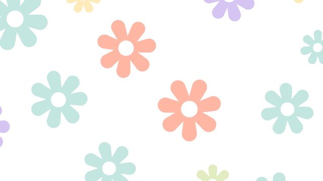 Motion graphic colorful flowers drop loop. Footage of daisy flowers looping