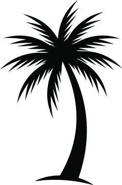 Elegant black silhouette of a tall palm tree isolated on a clean white background for tropical designs