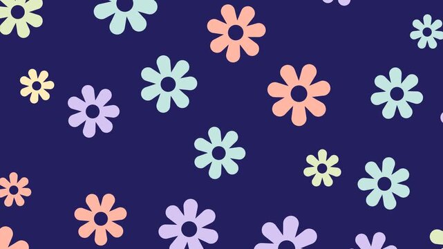 Abstract colorful floral motion graphics. Looping daisy footage