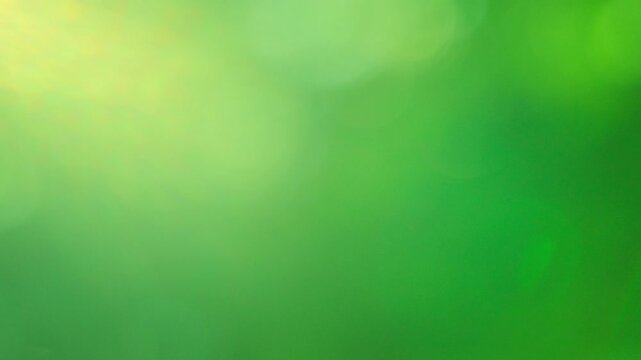Gentle morning sunlight moving across soft lime green foliage, smooth defocused nature bokeh, calm abstract organic layout background with copy space