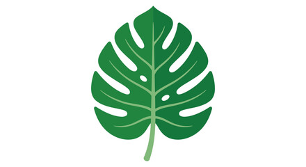 Monstera leaf illustration features a vibrant green color and flat design © suvo stock