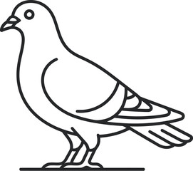 Fototapeta premium vector illustration of a pigeon