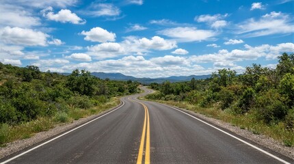 Obraz premium Winding road stretches toward distant mountains. Blue sky holds scattered white clouds. Green shrubs line both sides of the asphalt. Yellow centerline guides the journey forward