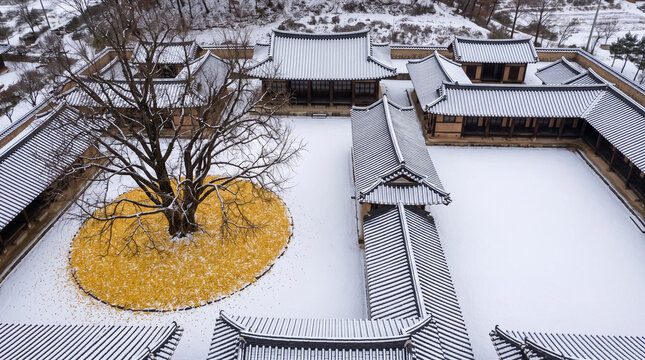 Aerial view of snowy hanok courtyard with ginkgo tree and circle of yellow leaves