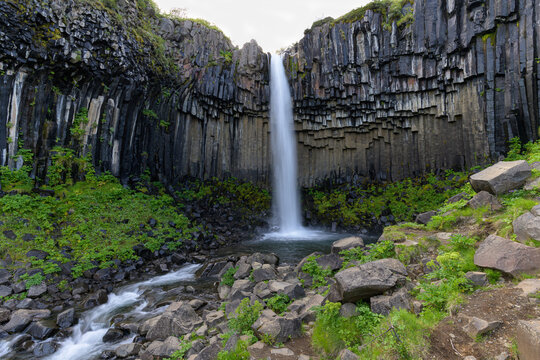 Der Wasserfall Svartifoss in Island