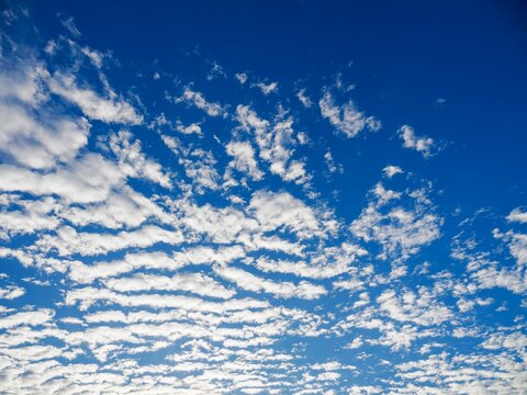秋空。巻積雲（けんせきうん）。うろこ雲。いわし雲。さば雲。青空。鮮やかな青空。雲模様。