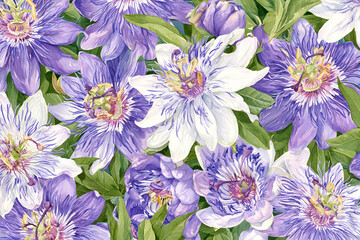 Obraz premium Watercolor full-frame illustration of passionflowers with intricate purple and white passionflower blooms, with a densely packed close-up arrangement