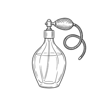 Vintage perfume bottle with atomizer bulb and decorative cord sketch for luxury beauty packaging and classic fragrance branding designs on transparent background.