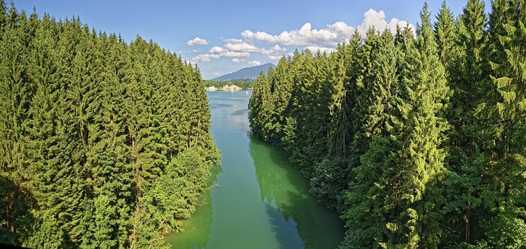 Inflow Bernmoosbach into Lake Forggensee, Ro&szlig;haupten, F&uuml;ssen, Bavaria, Germany