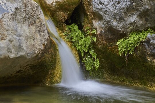 Spring in Crete, Stream, Small waterfall, Long exposure, Samaria Gorge, West Crete, Island of Crete, Greece