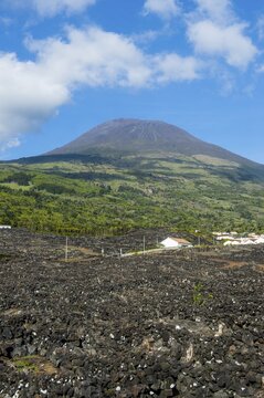 Ponta do Pico highest mountain of Portugal, Island of Pico, Azores, Portugal