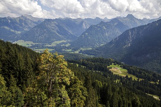 View from the hiking trail to the S&ouml;ller-Alpe into the Stillachtal and the Allg&auml;u Alps, behind, left Nebelhorn, behind right H&ouml;fats, Oberstdorf, Oberallg&auml;u, Allg&auml;u, Bavaria, Germany