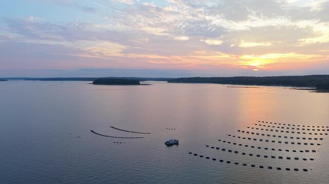 Aquaculture oyster farm with floating cages organized in rows on calm water as the sun sets over Casco Bay near Freeport, Maine.