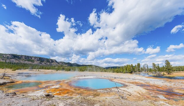 Black Opal Pool, Hot Spring, Yellow Algae and Mineral Deposits, Biscuit Basin, Yellowstone National Park, Wyoming, USA