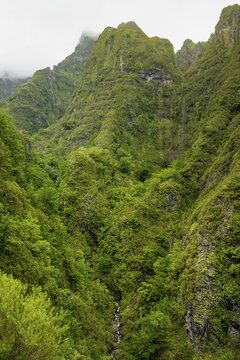 Inland landscape, mountain valley with fog and forest at Caldeir&atilde;o Verde, Madeira, Portugal