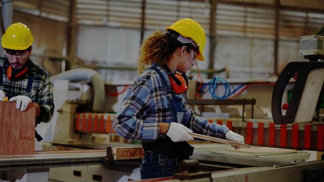 Young woman carpenter in a yellow hard hat pulls a plywood panel from the saw table and turns it in her gloved hands while a bearded colleague works behind, real time