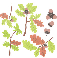 set of leaves and acorns © jungeun