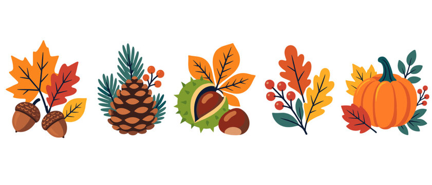 Autumn leaves and acorns illustration