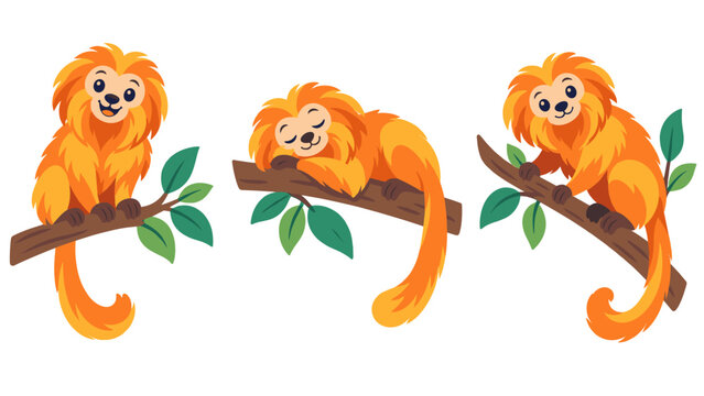 Golden lion tamarin monkey on branch illustration