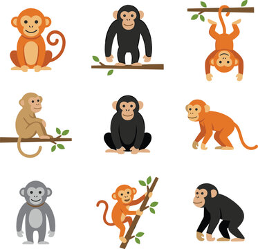 Cute wild monkey and chimpanzee vector flat icon set featuring cartoon primates climbing sitting and hanging on branches
