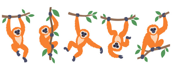 Monkeys swinging on branches illustration © Andrei