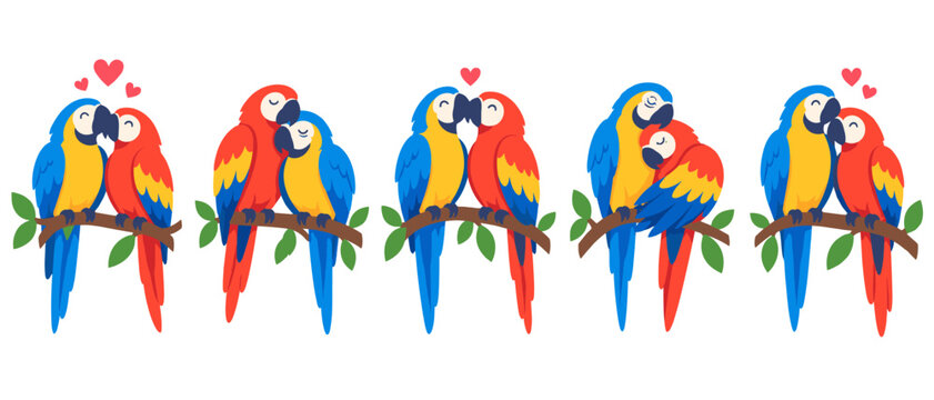 Macaw parrots in love illustration