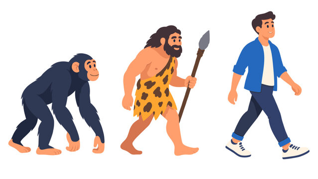 Human evolution stages illustration