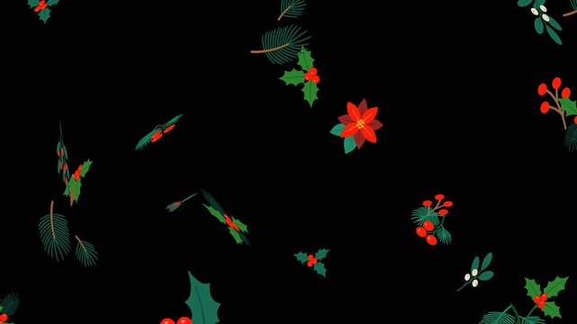 Falling Christmas holly and poinsettia seamless loop