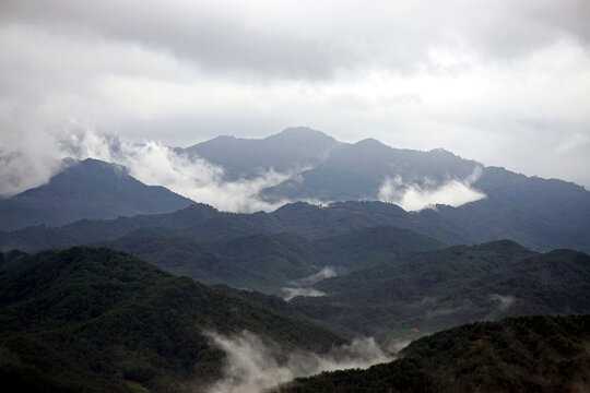 korean Misty Layered Mountain Ranges and Rolling Hills Covered in Low Clouds and Fog
