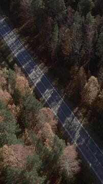 Drone footage of an empty asphalt road cutting through mixed conifer and birch forest in autumn colors, Ural region, Russia, with long shadows and calm mood
