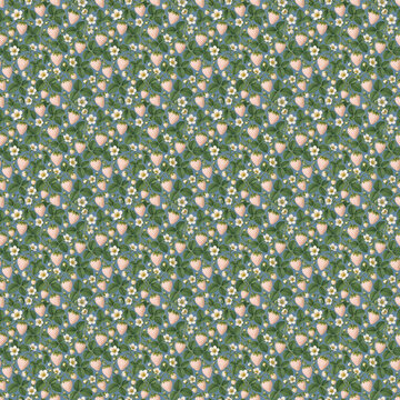 Seamless pattern of rare white pineberry fruit with red seeds