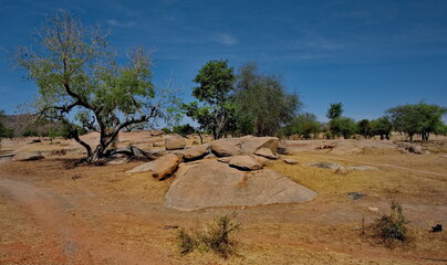 Central Africa, Chad. A landscape of a sandy and rocky desert with sparse vegetation under a cloudless sky. © Александр Катаржин