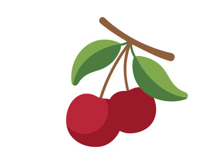 Obraz premium A pair of fresh red cherries hanging from a small brown branch with green leaves.