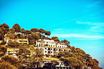 Obraz premium Villas nestled in a lush hillside overlooking the sea