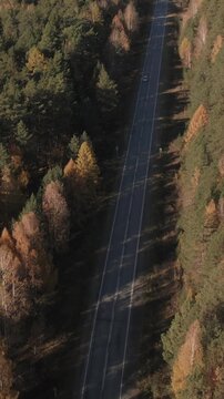 Drone footage of a straight asphalt road cutting through colorful autumn forest, a single car driving along the highway in the Ural Mountains, Russia, on a sunny day