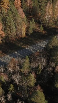 Drone footage of a quiet asphalt road cutting through colorful autumn mixed forest with pines and birches in the Ural Mountains, Russia, travel and nature background