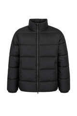 Stylish black puffer jacket with a high collar and full zipper is displayed on a clean white background © Chinases
