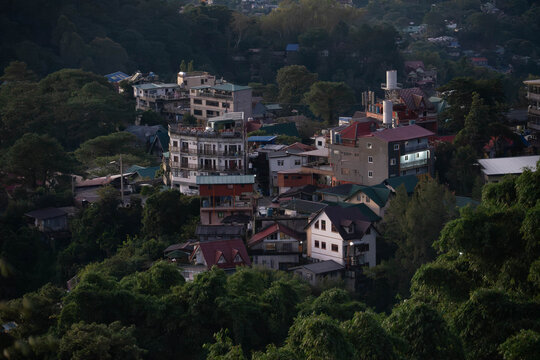 Elevated view of hillside homes and buildings surrounded by dense green trees in a mountain city, illuminated by soft evening light.