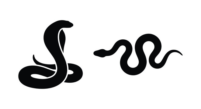 Black snake silhouette curves across a white background depicting a coiled reptile form serpent