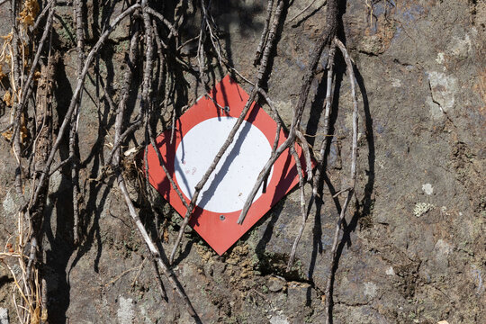 Hiking trail marker on rock wall with vines
