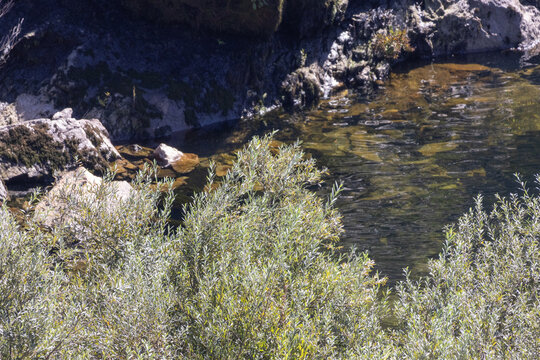 Z&ecirc;zere river water flowing past rocks and green vegetation