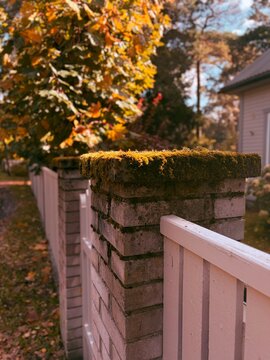Moss covered brick pillar and white wooden fence in autumn