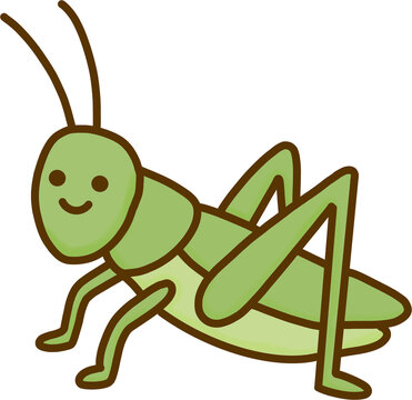 Cute Green Grasshopper Insect Vector Illustration