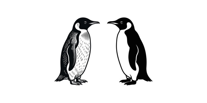 Two emperor penguins standing facing each other realistic illustration.