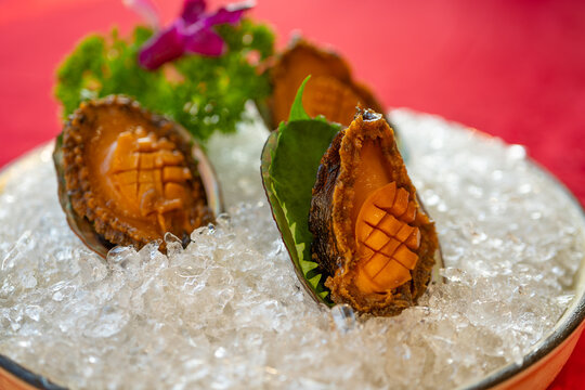 Chilled abalones served on crushed ice with garnish