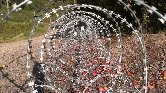 Egoza, razor wire, barbed steel spiral, Bruno coil enclosing red apple, metaphor of war, border, conflict, fragile life trapped in cold metallic barrier