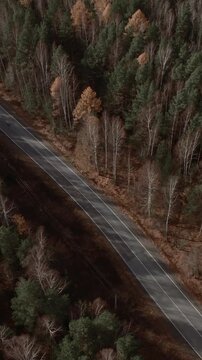 Drone footage of a curving asphalt highway cutting through mixed conifer and birch forest in autumn colors, Ural Mountains, Russia, travel and nature background